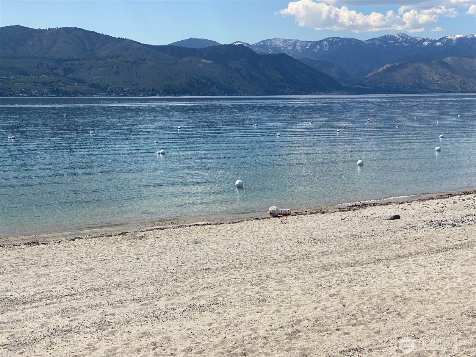 100 Lake Chelan Shores Dr. Bldg 16 7&8
