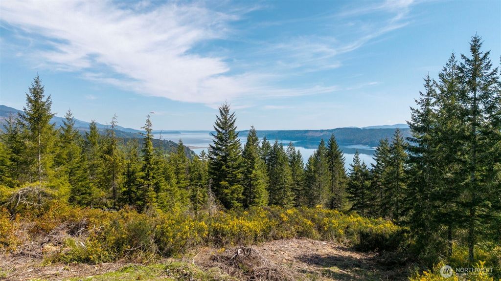 Photo of 778899 N Hamma Ridge Drive, Lilliwaup, WA 98555 (MLS # 2519498)