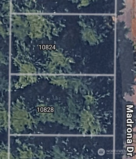 10828 Madrona Dr