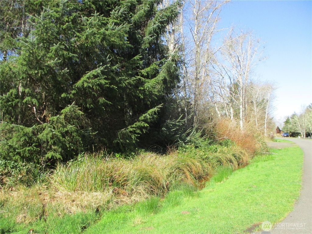 Photo of 301 Olympic View Ave, Ocean Shores, WA 98569 (MLS # 2495827)