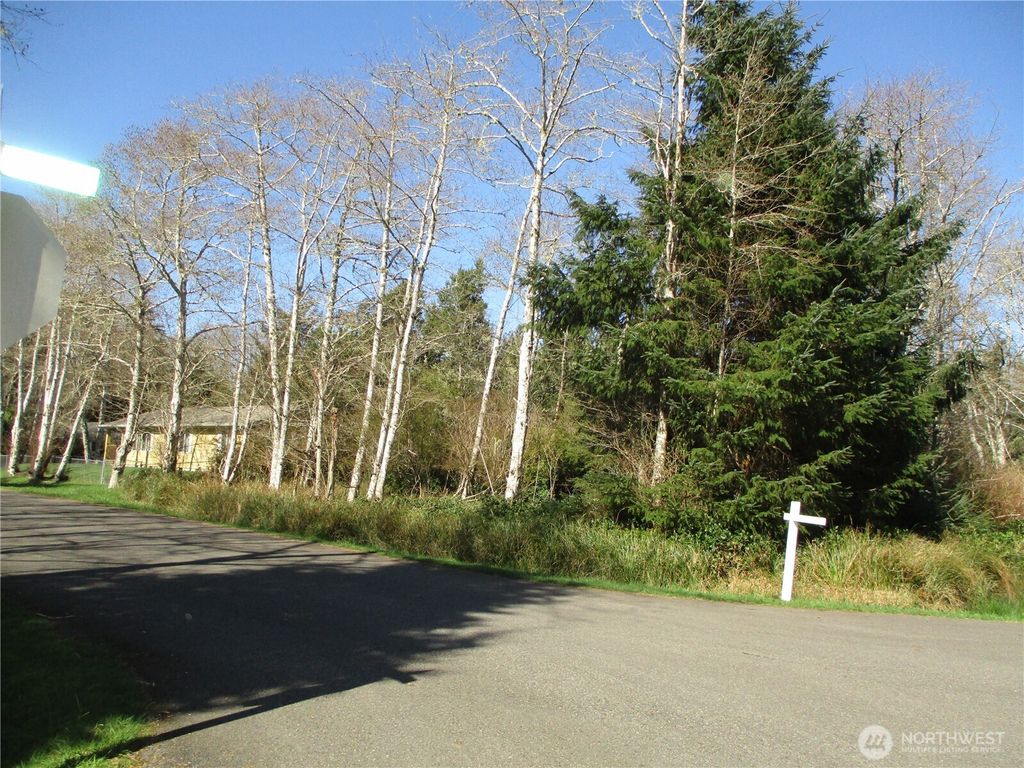 Photo of 301 Olympic View Ave, Ocean Shores, WA 98569 (MLS # 2495827)