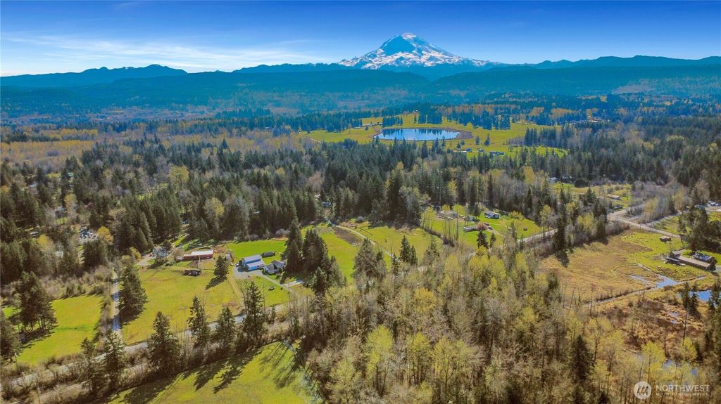 Photo of 26127 134th Avenue E, Graham, WA 98338 (MLS # 2503614)