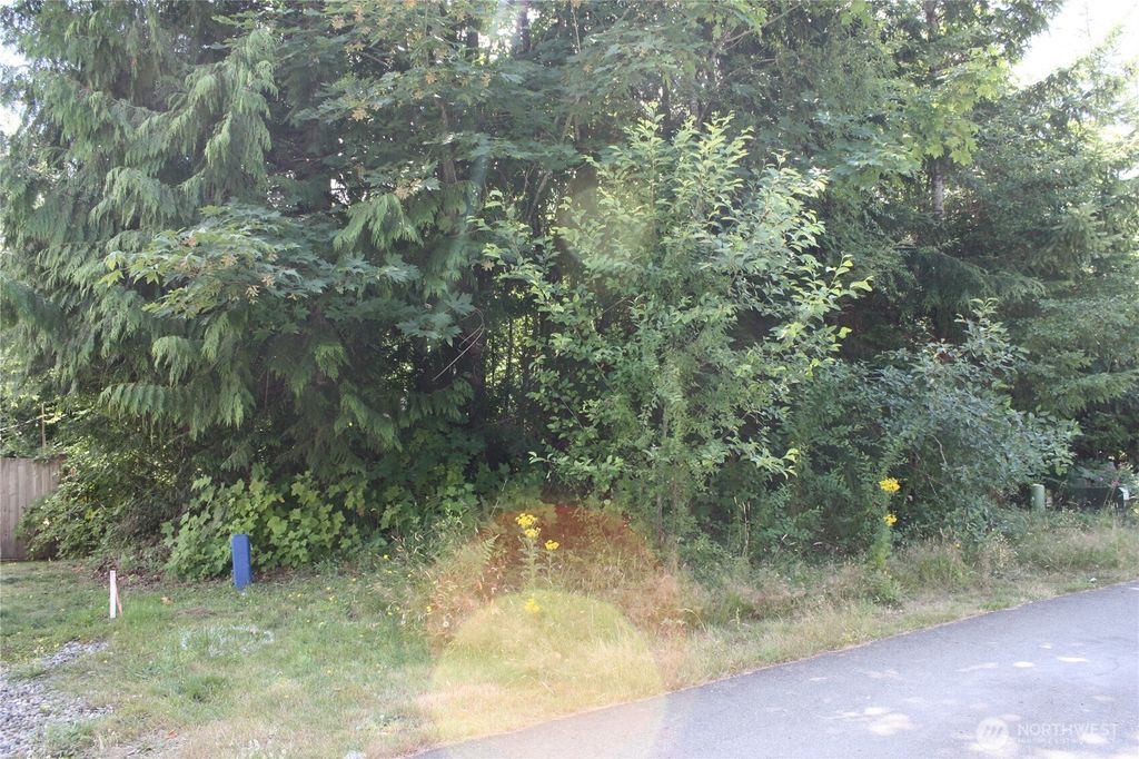 Photo of 80 E Ellinor Peak Place, Belfair, WA 98528 (MLS # 2557286)