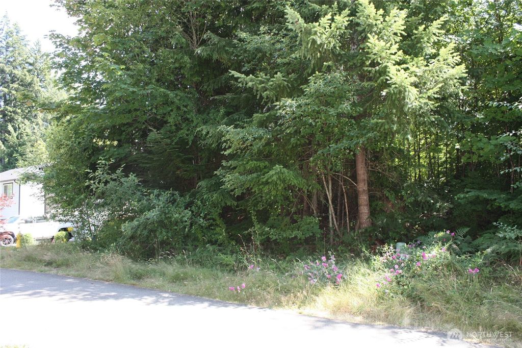 Photo of 80 E Ellinor Peak Place, Belfair, WA 98528 (MLS # 2557286)