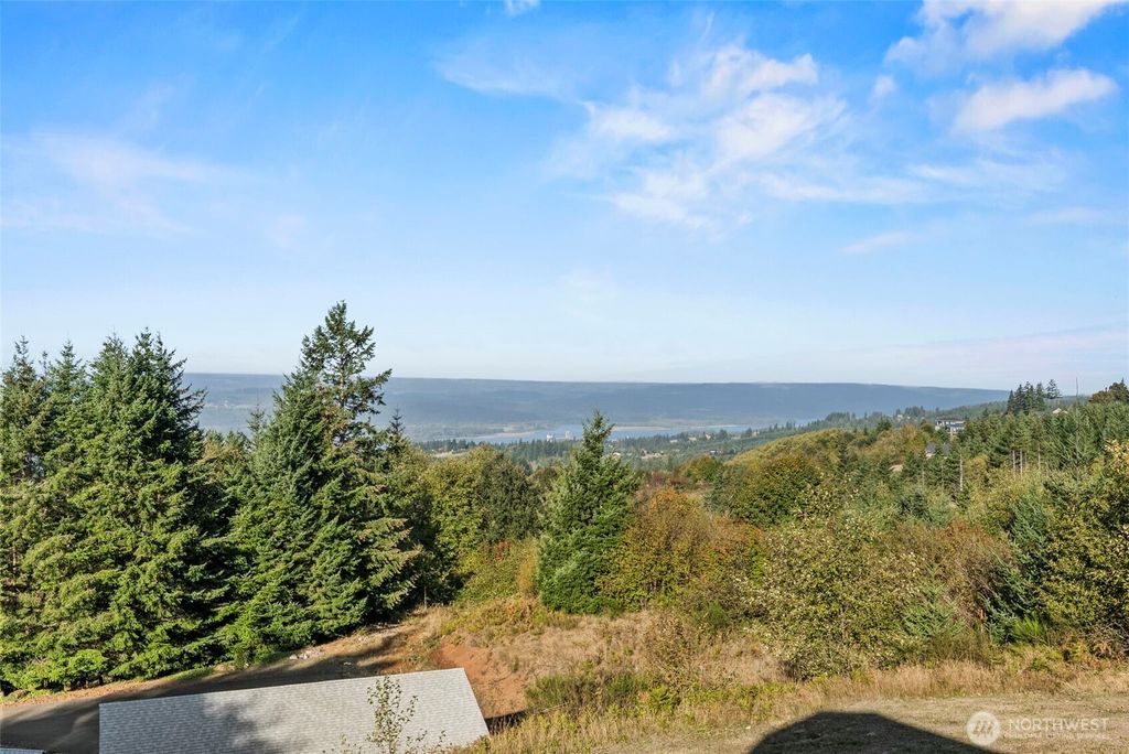 Photo of 175 Webster Lane, Woodland, WA 98674 (MLS # 2443609)
