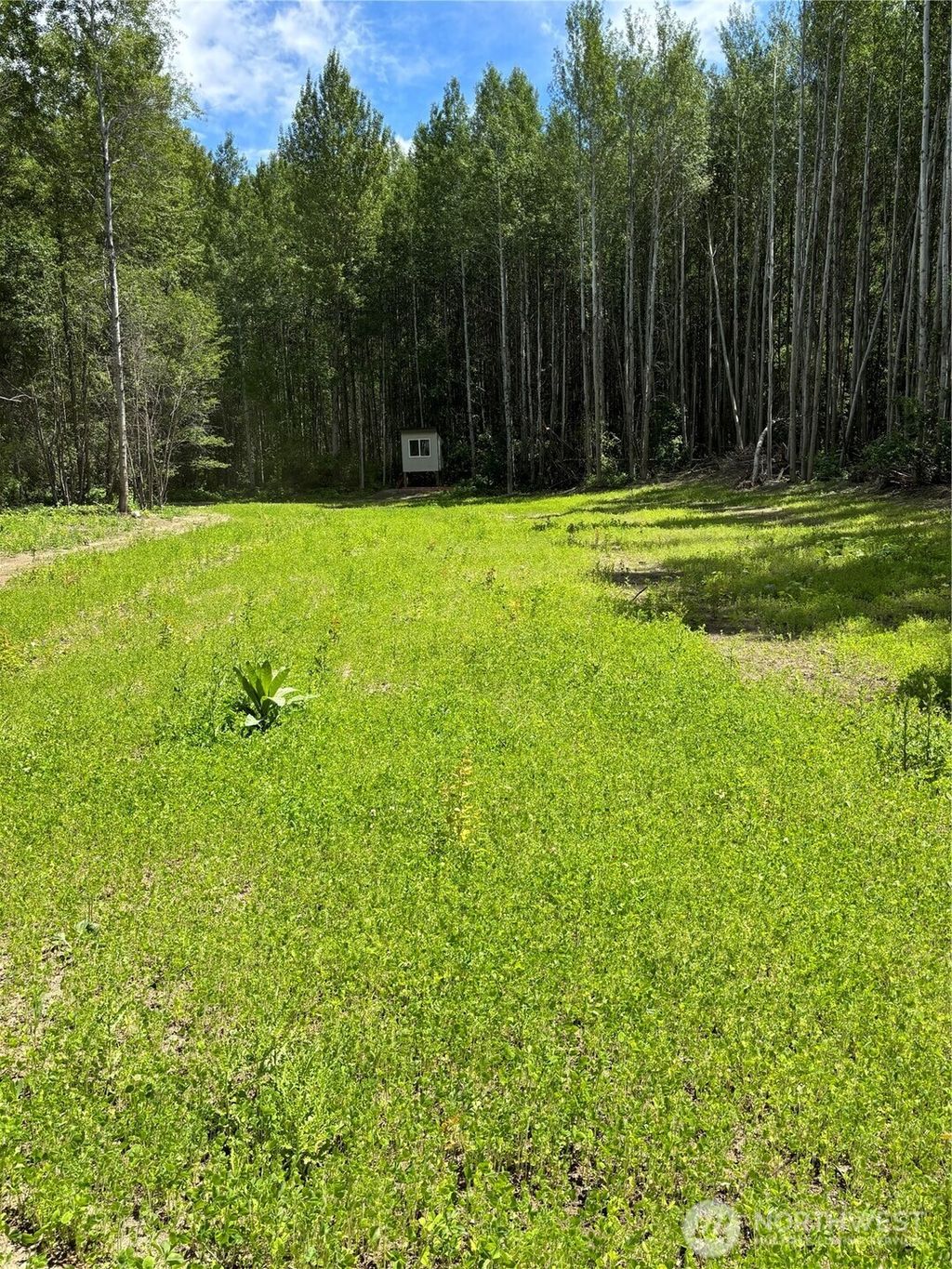 Photo of 0 Entiat River Rd, Entiat, WA 98822 (MLS # 2481434)