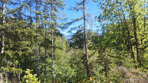 735 Carr Road Randle WA 98377