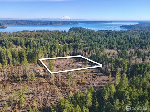 Photo of 250 E Solbakk Veien Road, Shelton, WA 98584 (MLS # 2477930)