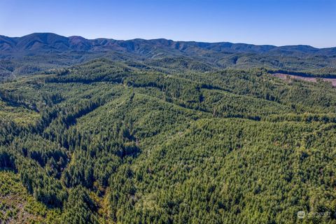 Photo of 2 Dell Creek Mainline Road, Naselle, WA 98638 (MLS # 2292028) Photo of 2 Dell Creek Mainline Road, Naselle, WA 98638 (MLS # 2292028)