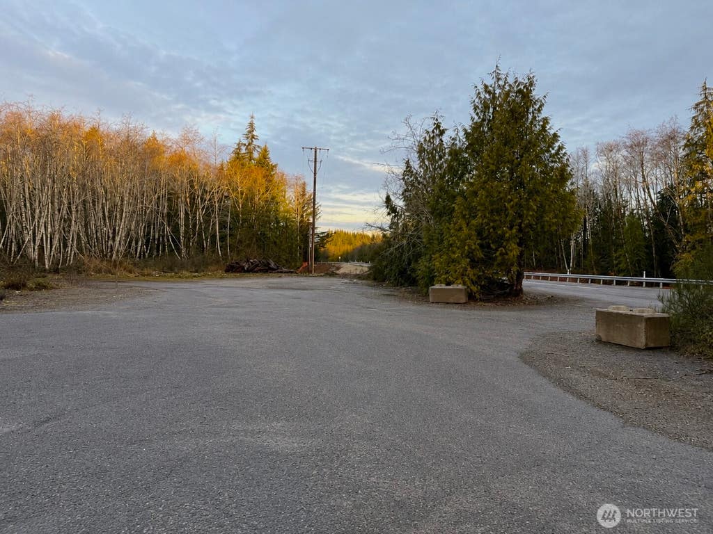 Photo of 7507 Us Highway 101, Amanda Park, WA 98526 (MLS # 2540189)