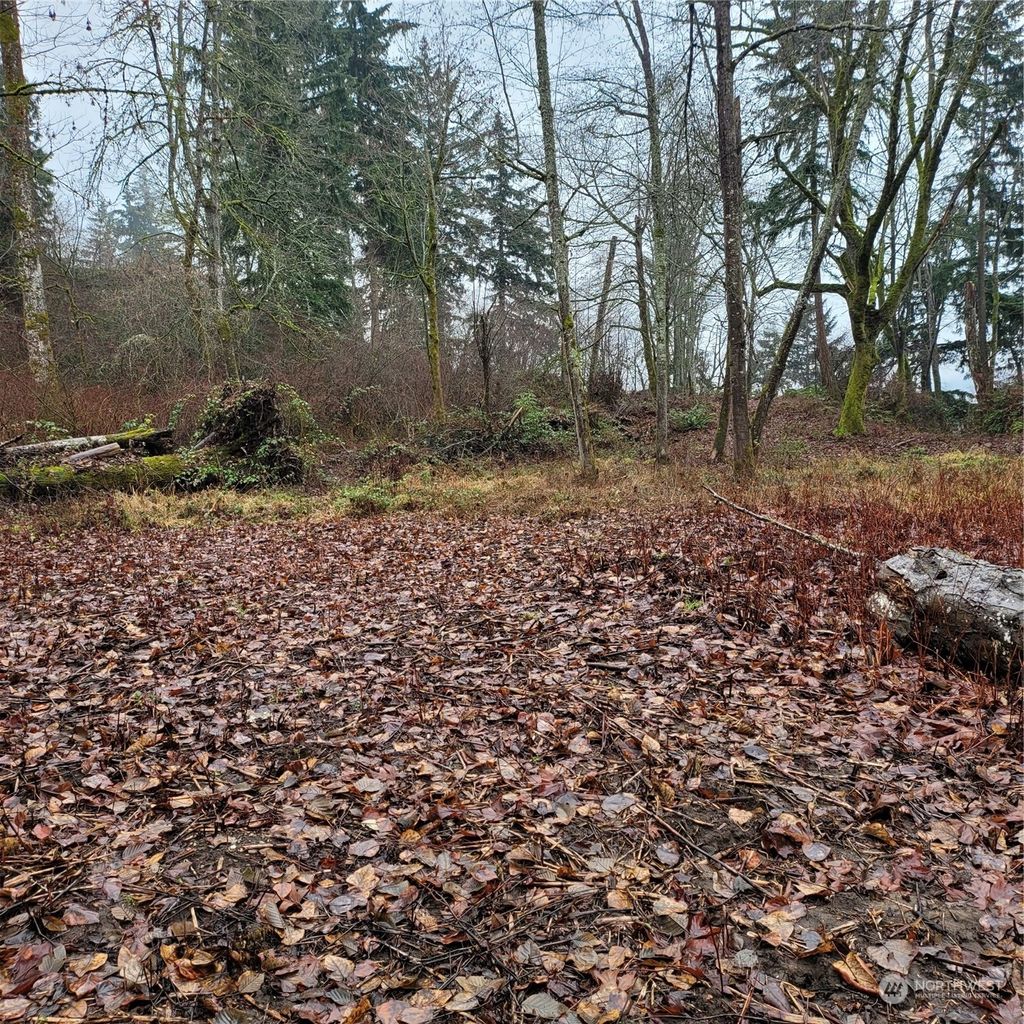 Photo of 10509 SE 323rd Street, Auburn, WA 98092 (MLS # 2135102)