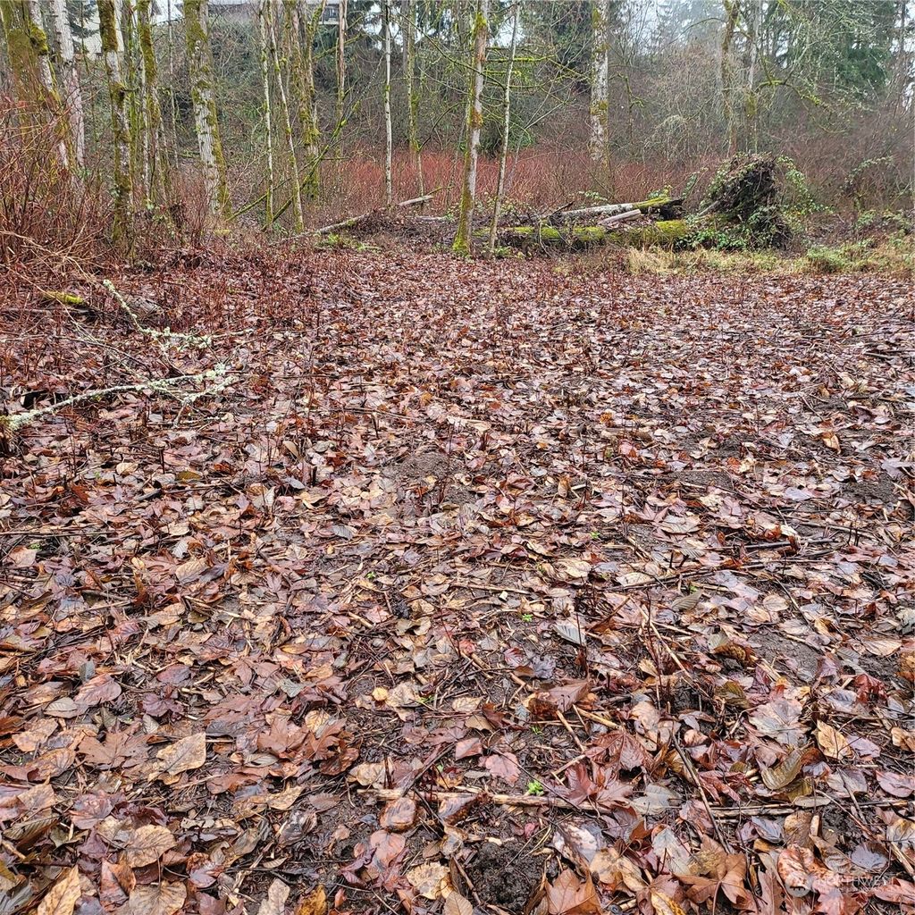 Photo of 10509 SE 323rd Street, Auburn, WA 98092 (MLS # 2135102)