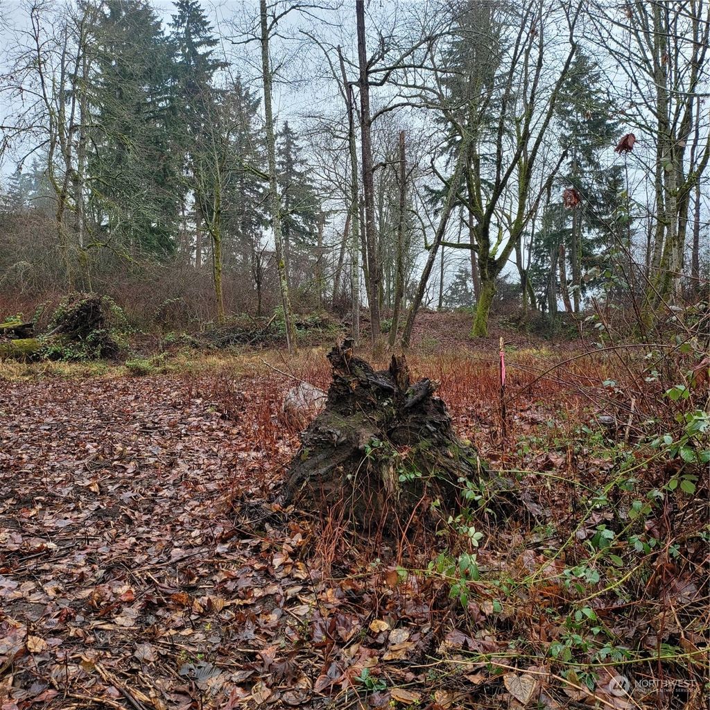 Photo of 10509 SE 323rd Street, Auburn, WA 98092 (MLS # 2135102)