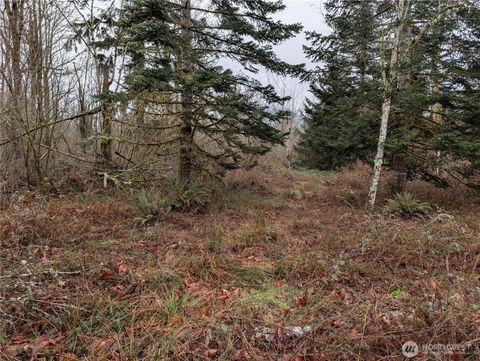 Photo of 427 XX 156th Street SE, Gold Bar, WA 98251 (MLS # 2490580)