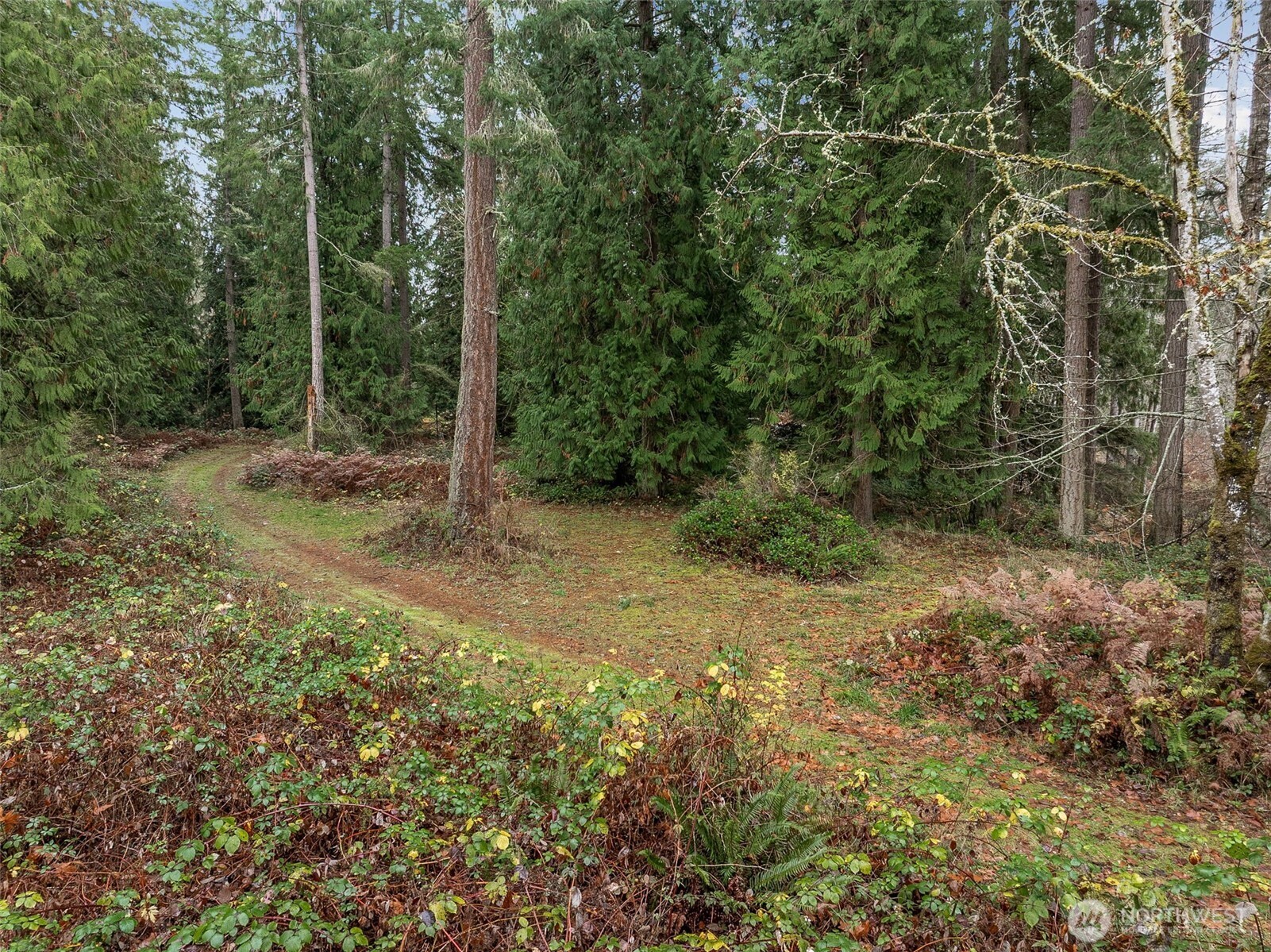 32716 Benbow Drive E