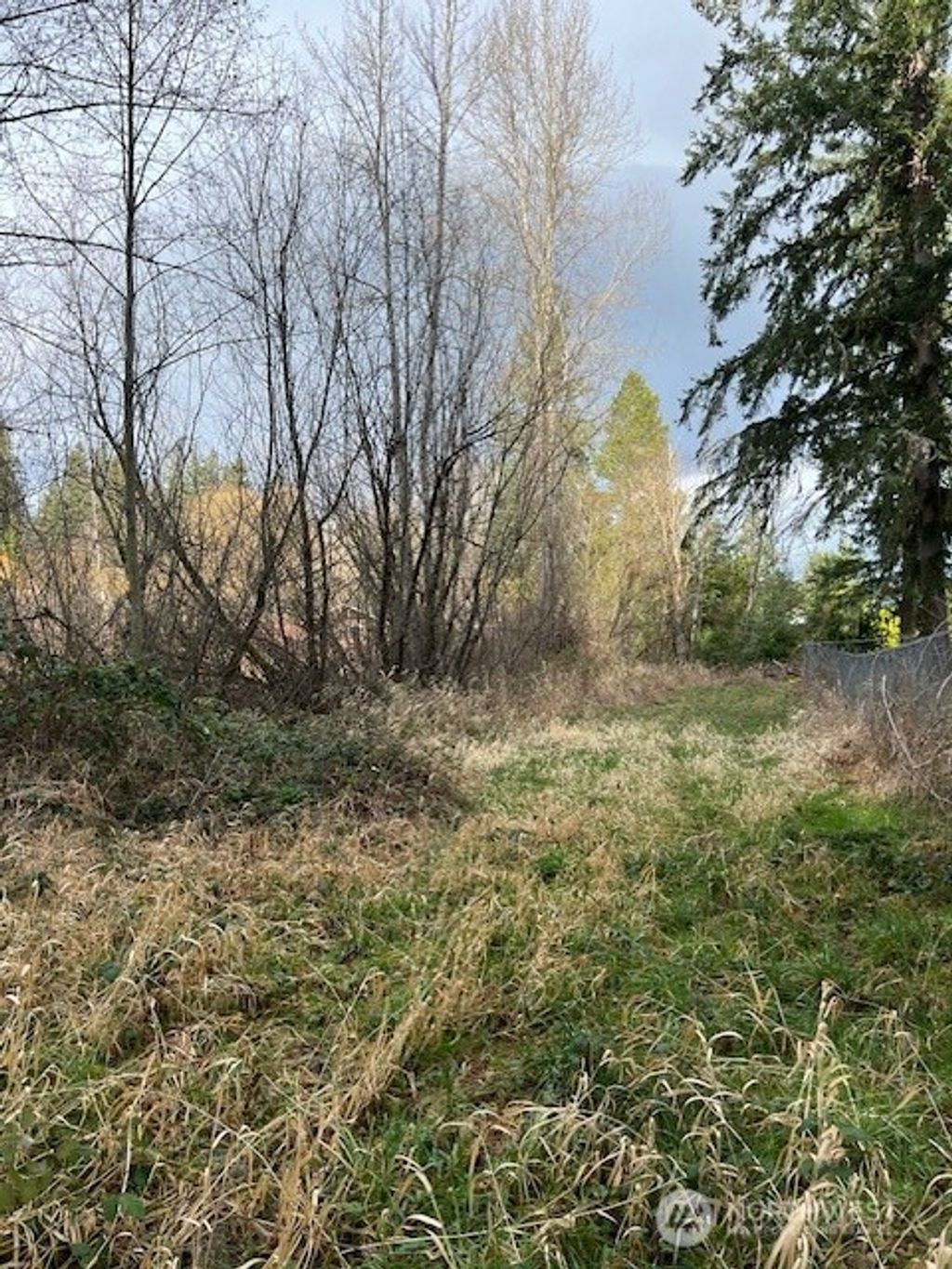 Photo of 701 Iron Street, Eatonville, WA 98328 (MLS # 2464644)