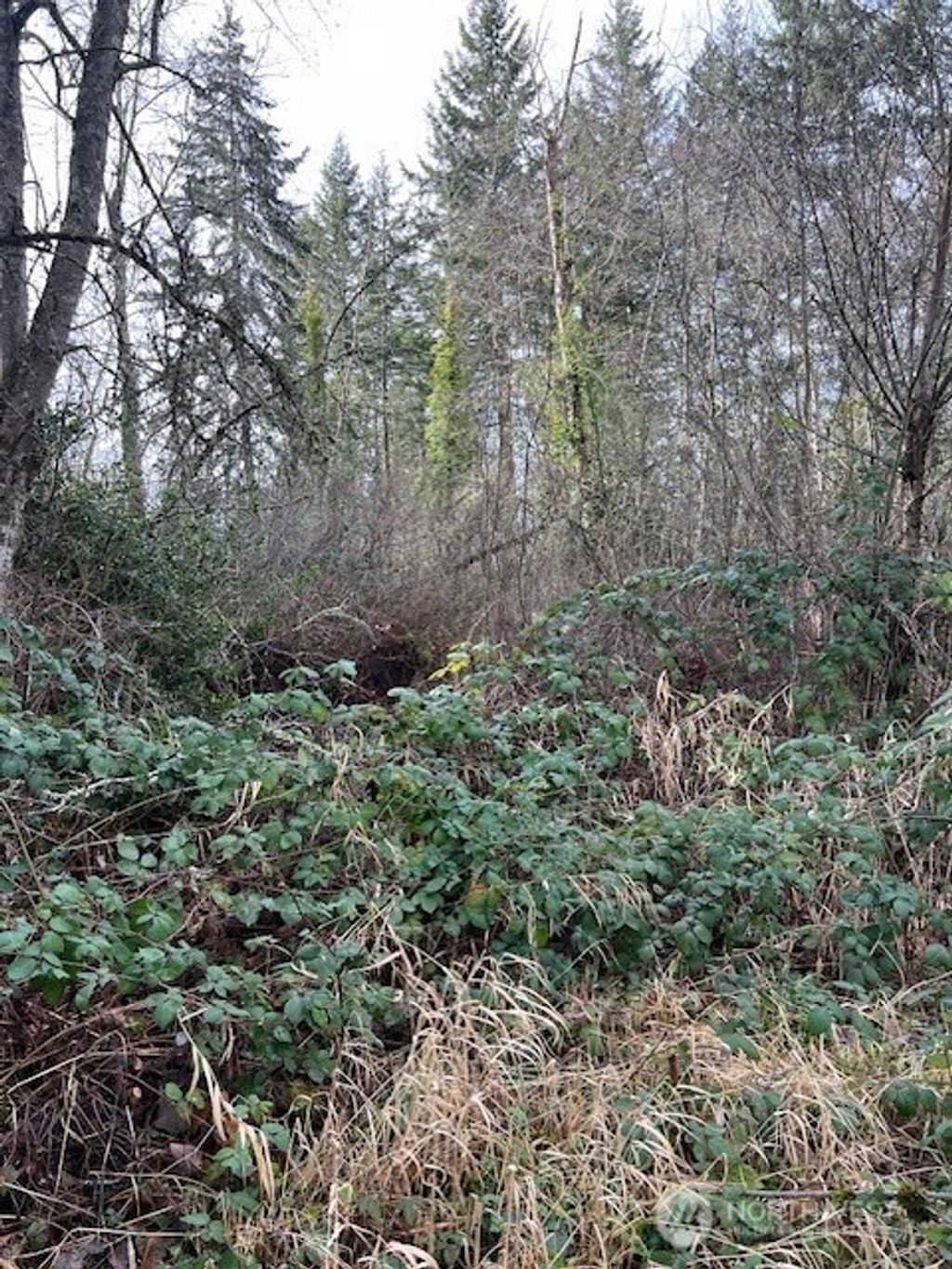 Photo of 701 Iron Street, Eatonville, WA 98328 (MLS # 2464644)