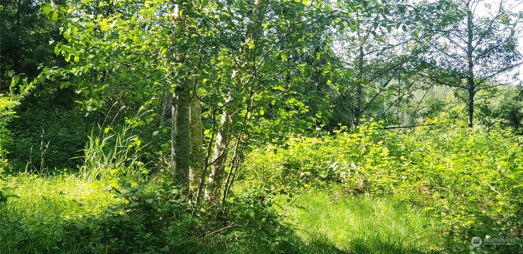 Photo of 4301 282nd Street NE, Arlington, WA 98223 (MLS # 2075338)