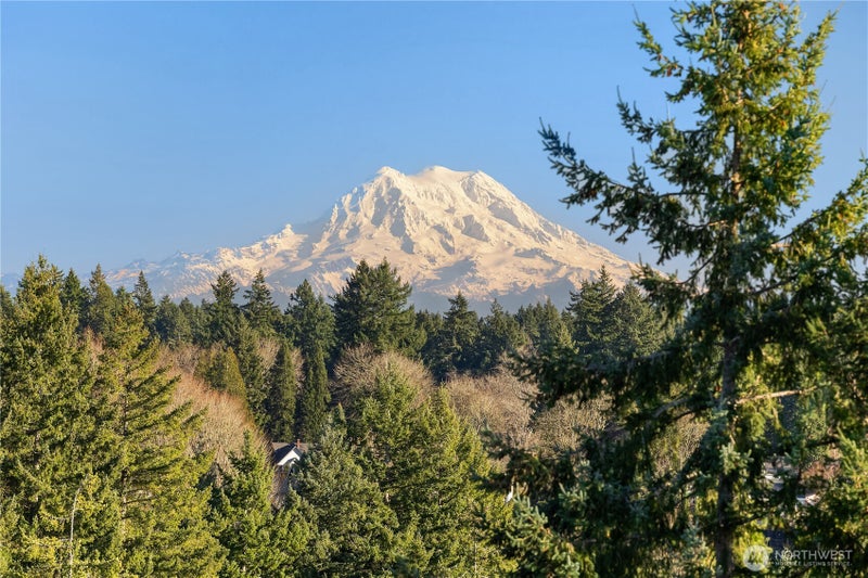 1910 Evergreen Park Drive SW 903