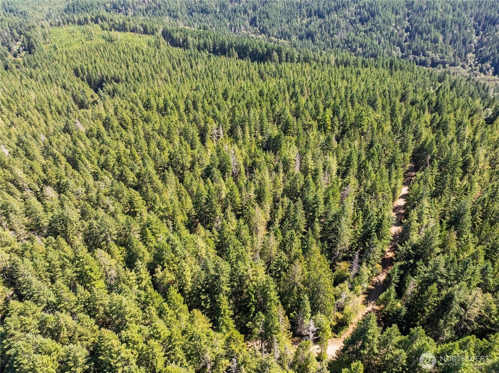 Photo of 0 NE Aquila Ridge Road, Tahuya, WA 98588 (MLS # 2576295)