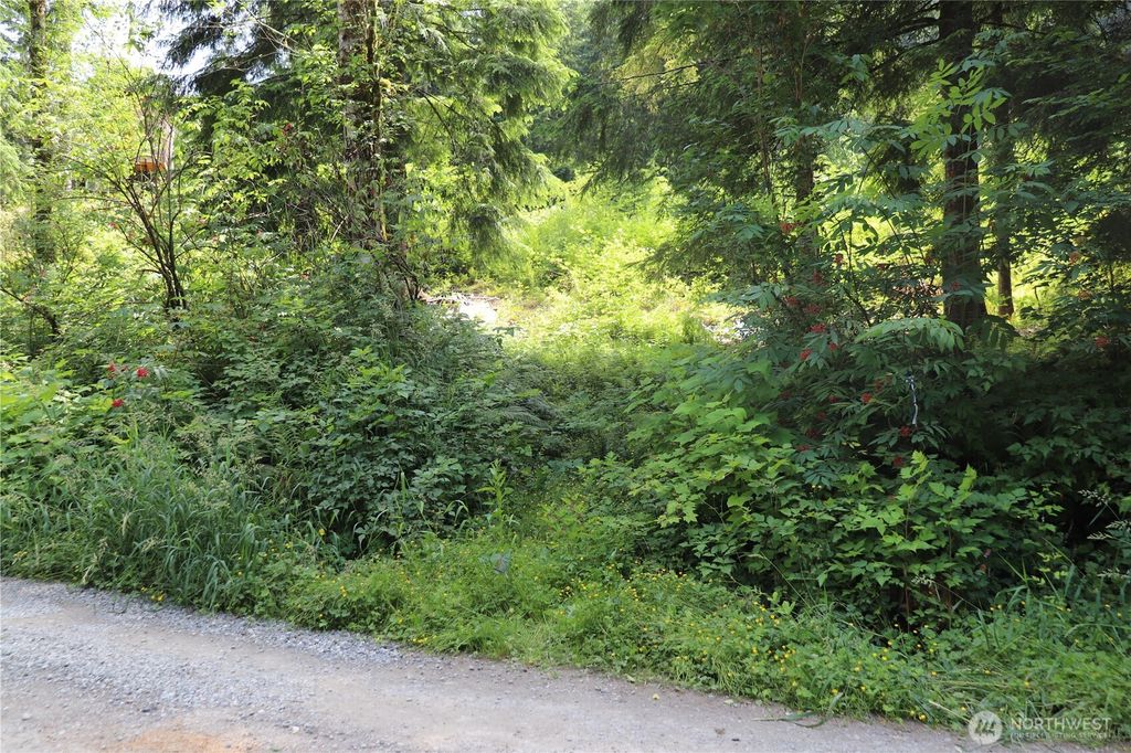Photo of 52902 S Riverside Road, Gold Bar, WA 98251 (MLS # 2400650)