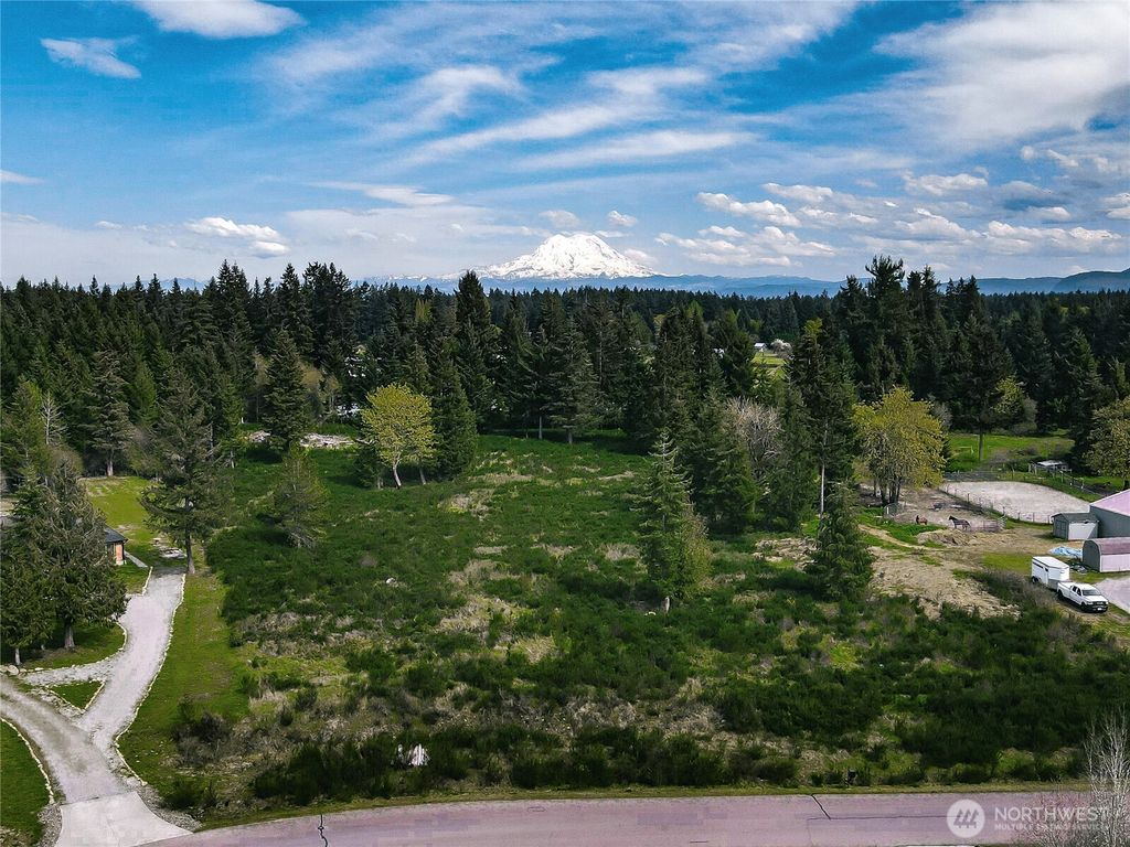 Photo of 14543 Lindsay Loop SE, Yelm, WA 98597 (MLS # 2512427)