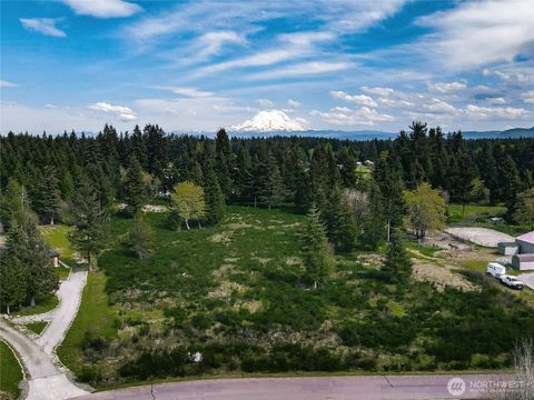 Photo of 14543 Lindsay Loop SE, Yelm, WA 98597 (MLS # 2512427)
