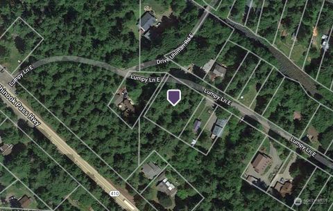 58610 Lumpy Lane E Greenwater WA 98022