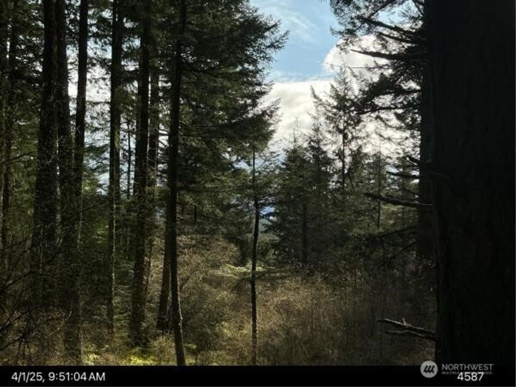 Photo of 0 Eagle Lake Lane, Orcas Island, WA 98279 (MLS # 2503399)