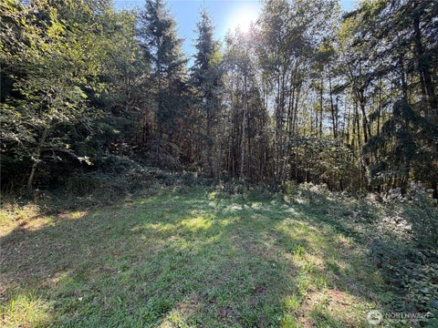 Photo of 0 N Lot F Bodine Road, Kelso, WA 98626 (MLS # 2584363)