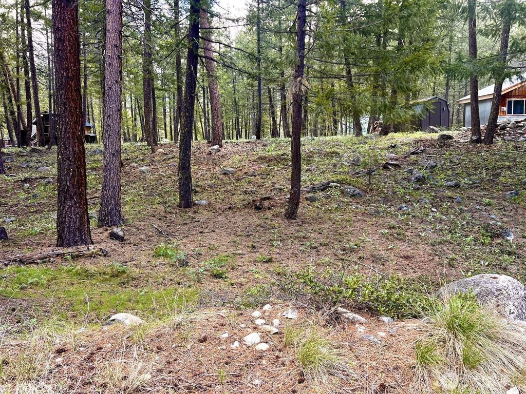 Photo of 35 Emerson Road, Mazama, WA 98833 (MLS # 2527039)