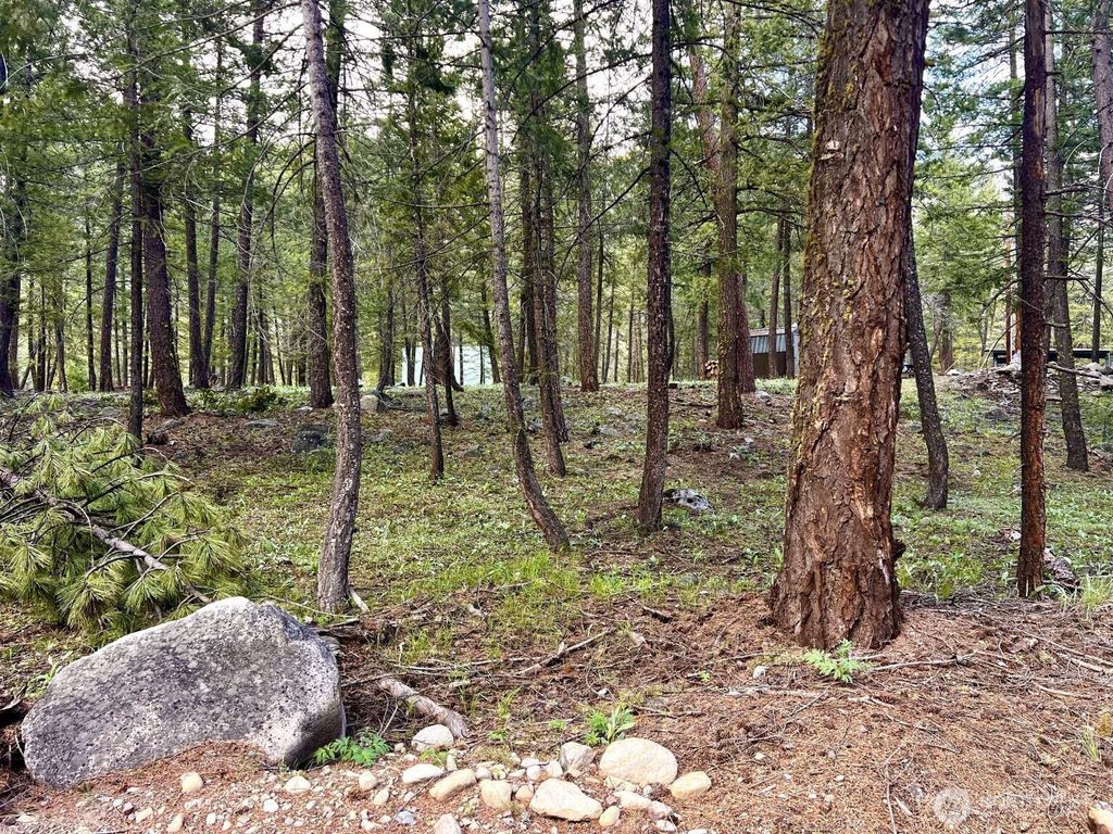 Photo of 35 Emerson Road, Mazama, WA 98833 (MLS # 2527039)