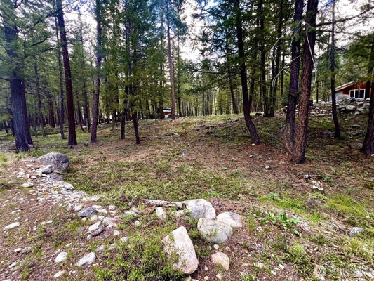 35 EMERSON RD, MAZAMA, WA 98833 - Image f59b1990e5a69f5e6bb9e4e67ef77cbd/4158603697