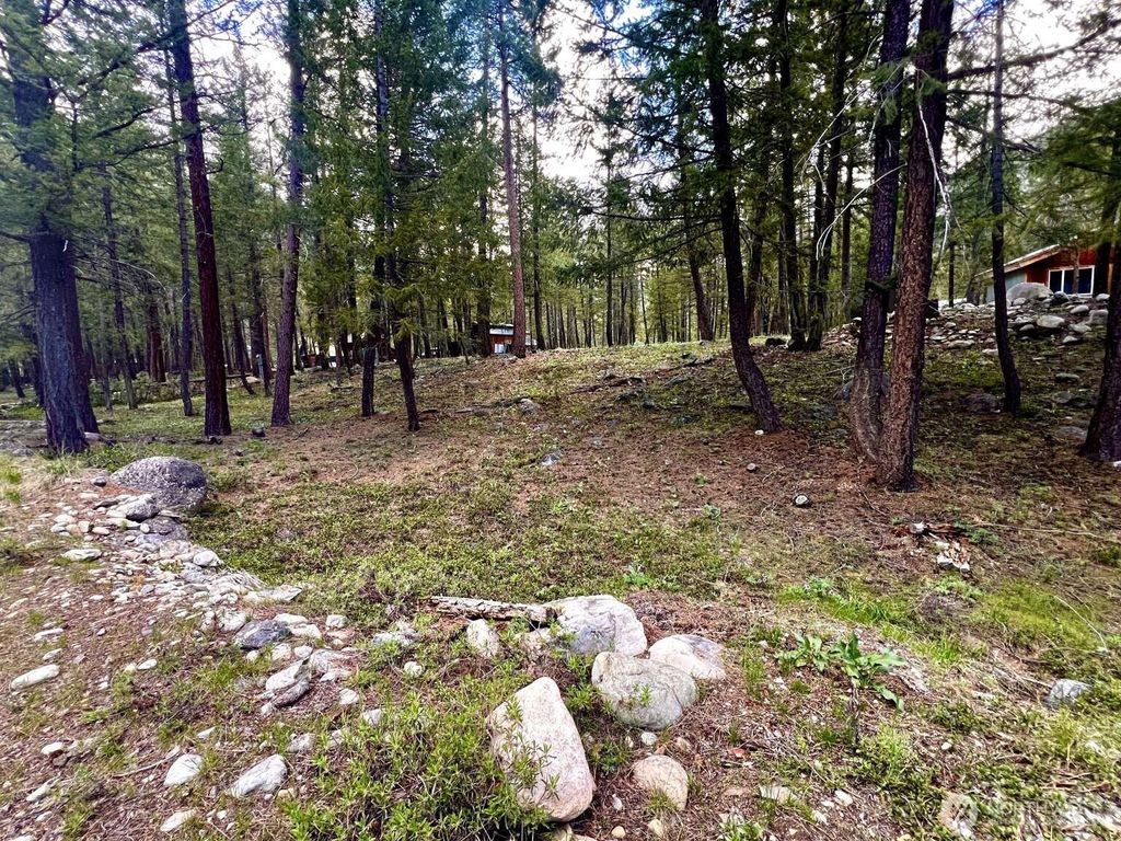Photo of 35 Emerson Road, Mazama, WA 98833 (MLS # 2527039)