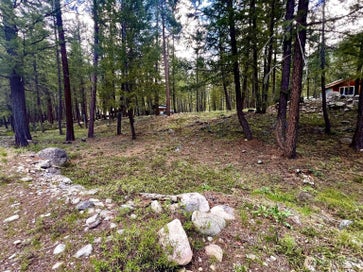 35 Emerson Road Mazama WA 98833