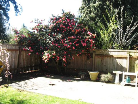 A home in Mountlake Terrace