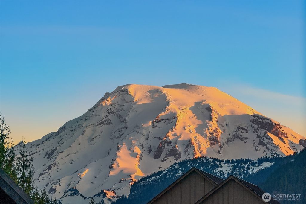 Photo of 118 Burl Lane, Packwood, WA 98361 (MLS # 2500561)