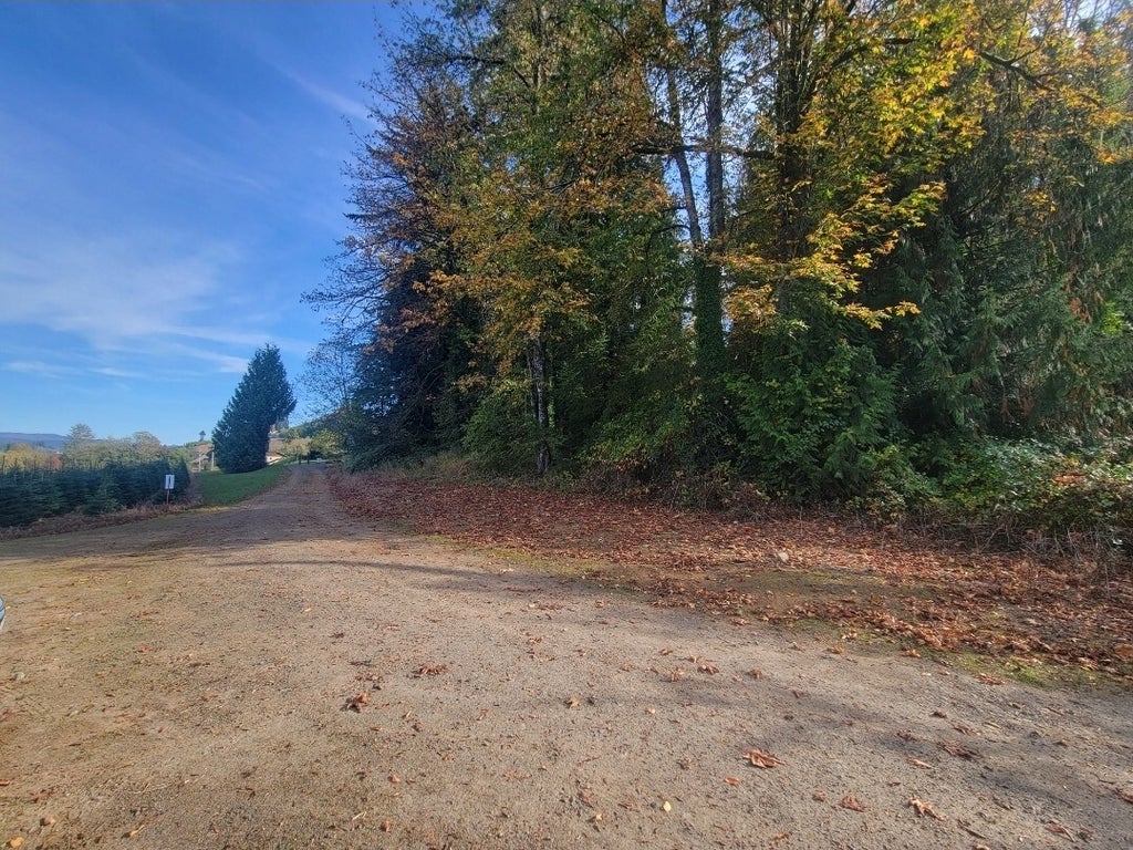 Photo of 228 Schoonover Road, Mossyrock, WA 98564 (MLS # 2599635)