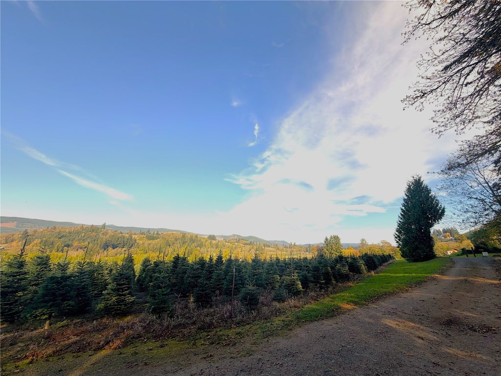 Photo of 228 Schoonover Road, Mossyrock, WA 98564 (MLS # 2599635)