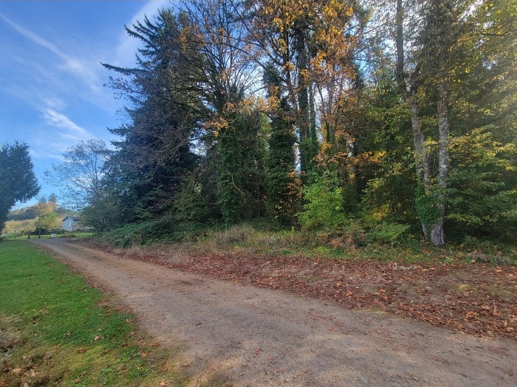 Photo of 228 Schoonover Road, Mossyrock, WA 98564 (MLS # 2599635)