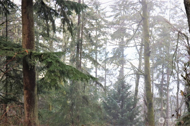 17701 SE 60TH Street