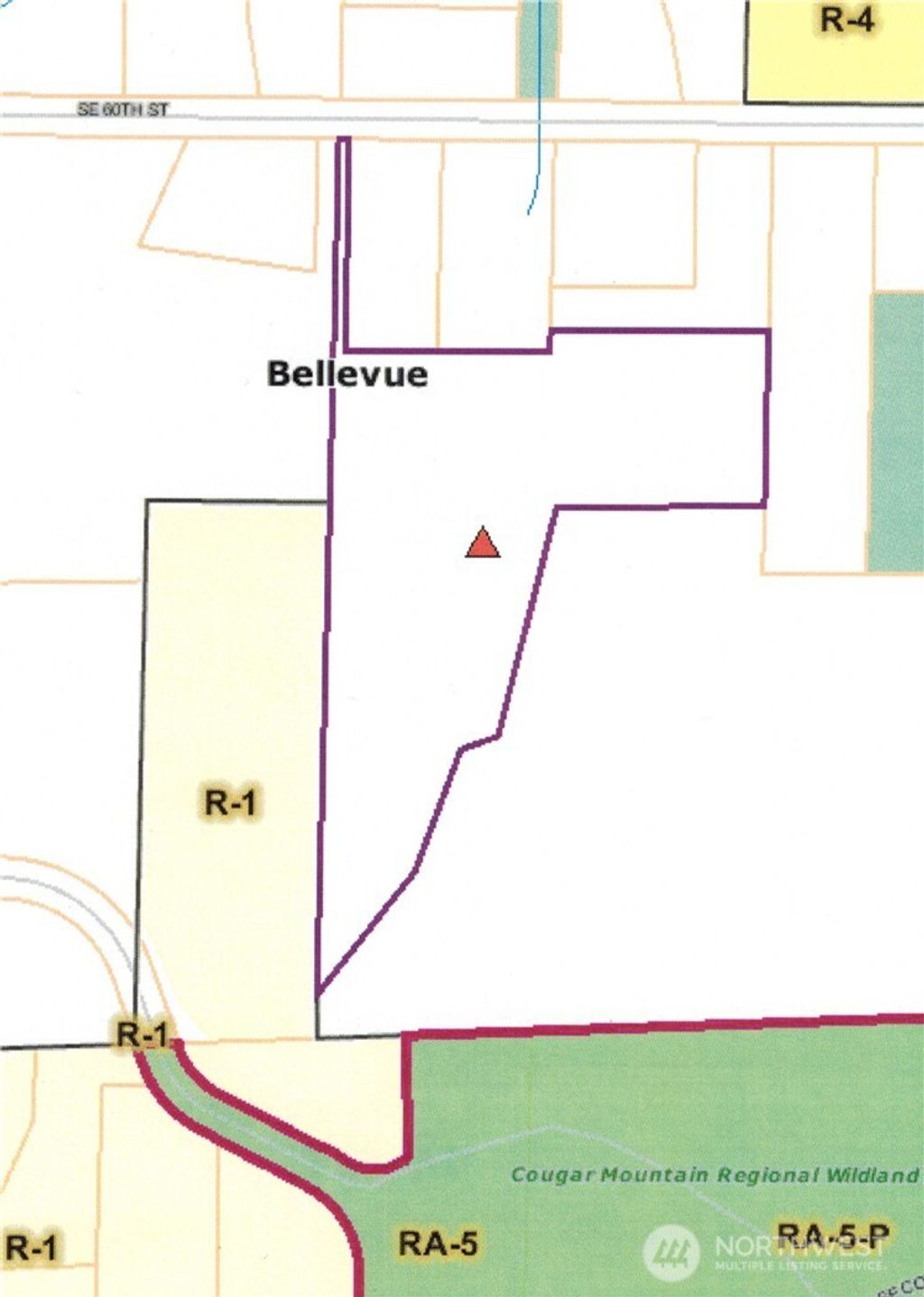 Photo of 17701 SE 60TH Street, Bellevue, WA 98006 (MLS # 2492180)