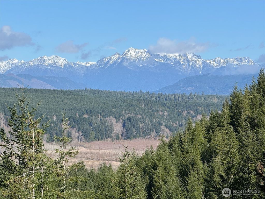 Photo of 151 E Amy Court, Shelton, WA 98584 (MLS # 2499585)