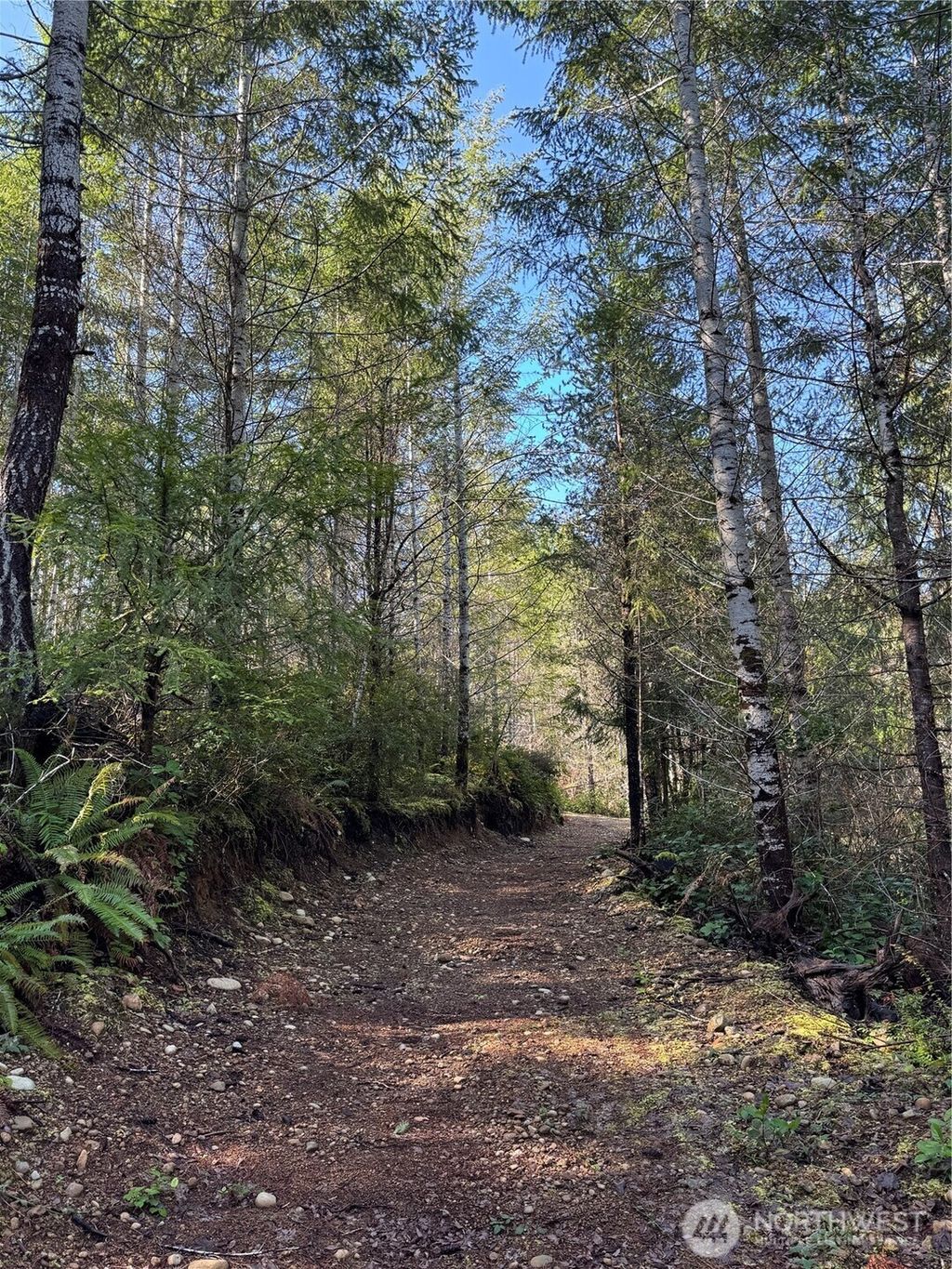 Photo of 151 E Amy Court, Shelton, WA 98584 (MLS # 2499585)