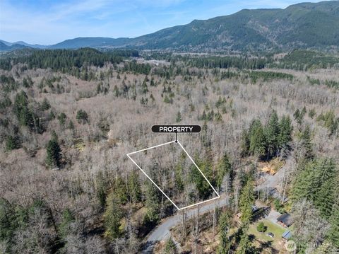 Photo of 0 XX Fairway Drive, Eatonville, WA 98328 (MLS # 2502118)