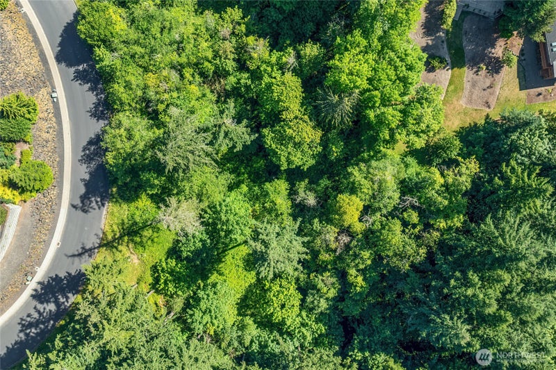 14 Forest Hill Estate