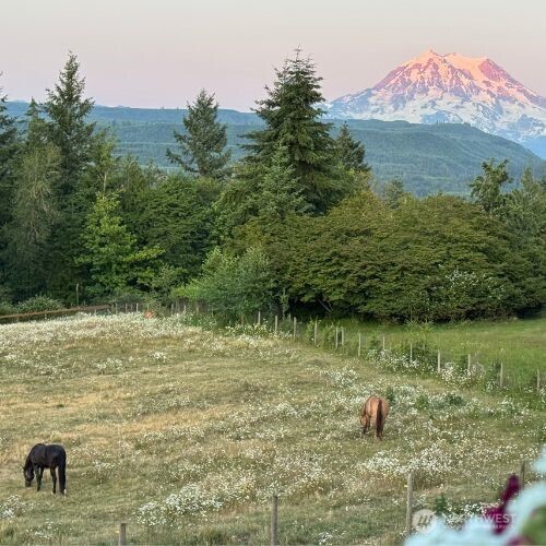 27215 159th Avenue E