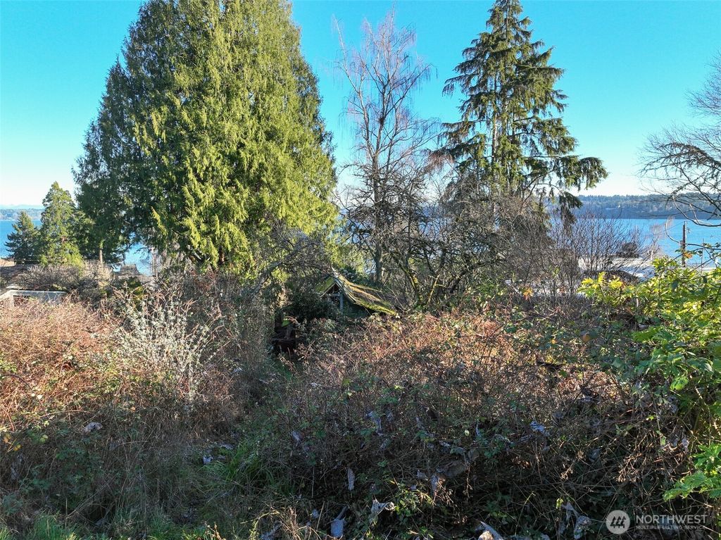 Photo of 20410 81st Avenue SW, Vashon, WA 98070 (MLS # 2468692)