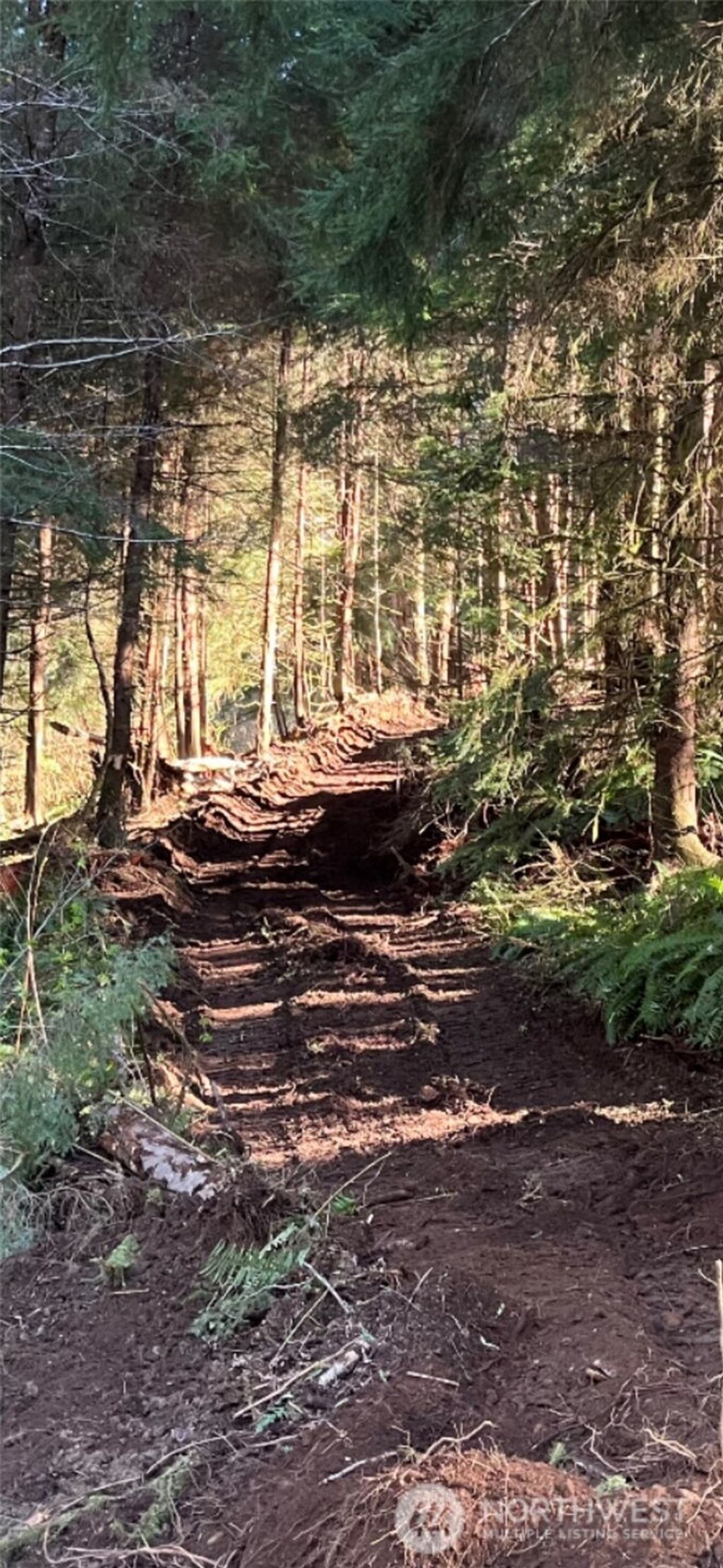 Photo of 554 Eagle Point Road, Sekiu, WA 98381 (MLS # 2513476)