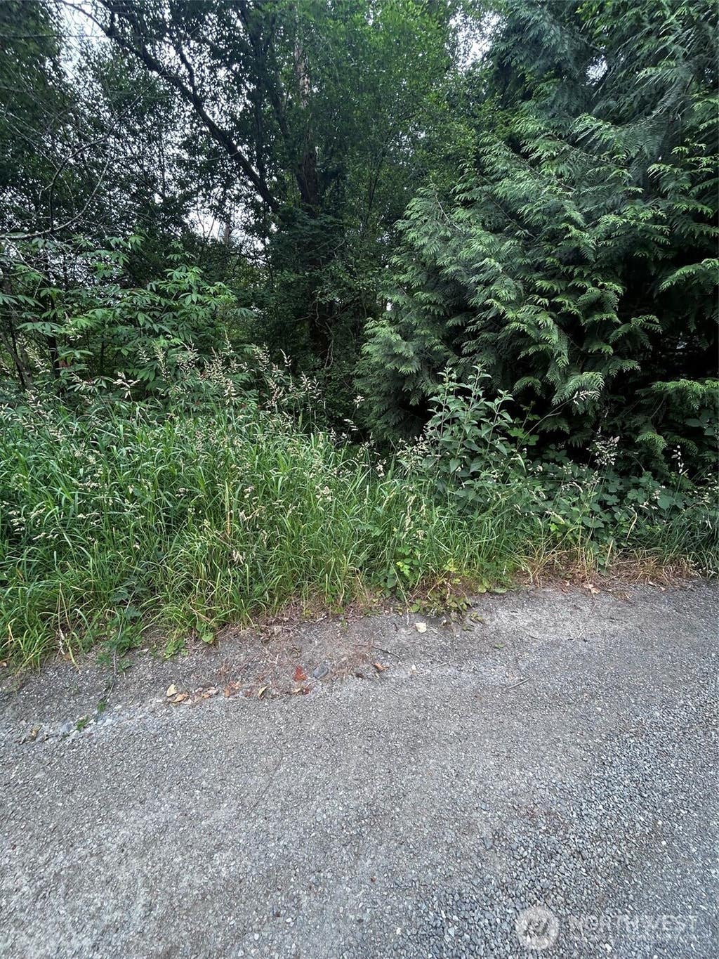 Photo of 14701 NE 223rd Avenue, Woodinville, WA 98077 (MLS # 2543280)